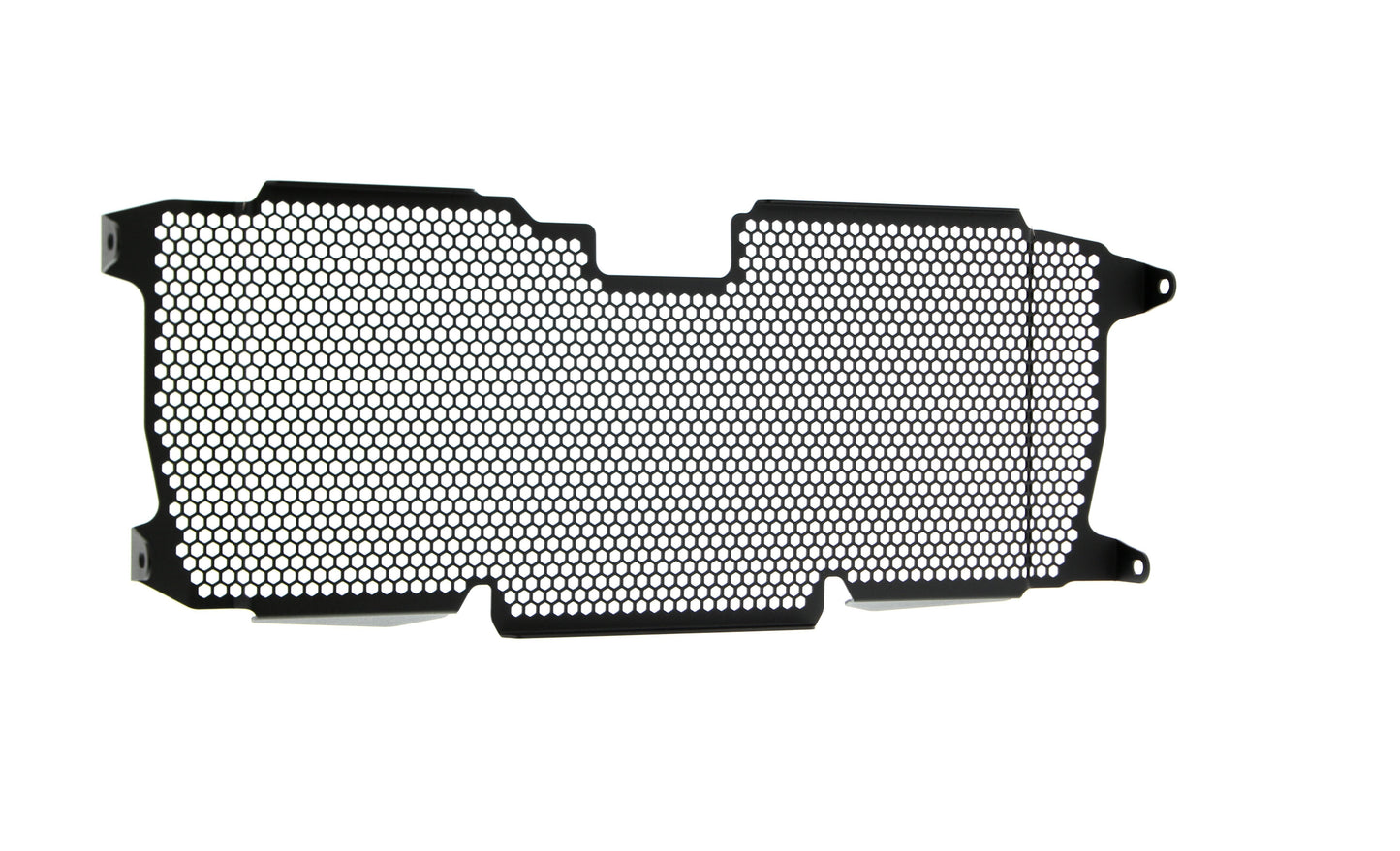 Evotech BMW R 1250 RS Radiatorcover (2022+)