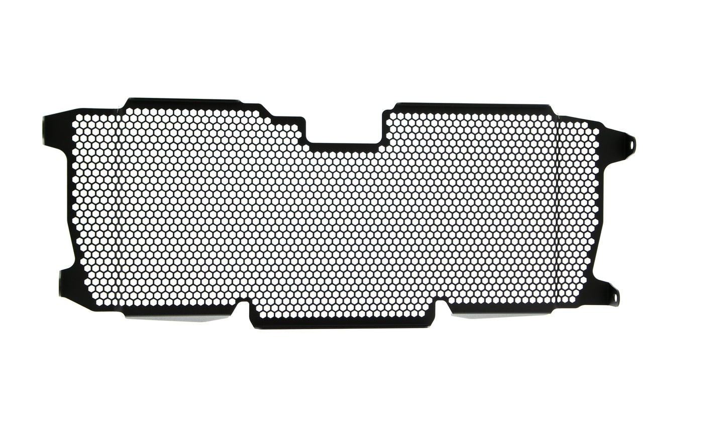 Evotech BMW R 1250 R Exclusive Radiatorcover 2019+