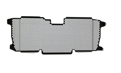 Evotech BMW R 1250 R Exclusive Radiatorcover 2019+
