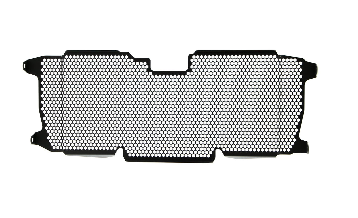 Evotech BMW R 1250 RS Radiatorcover (2019 - 2021)