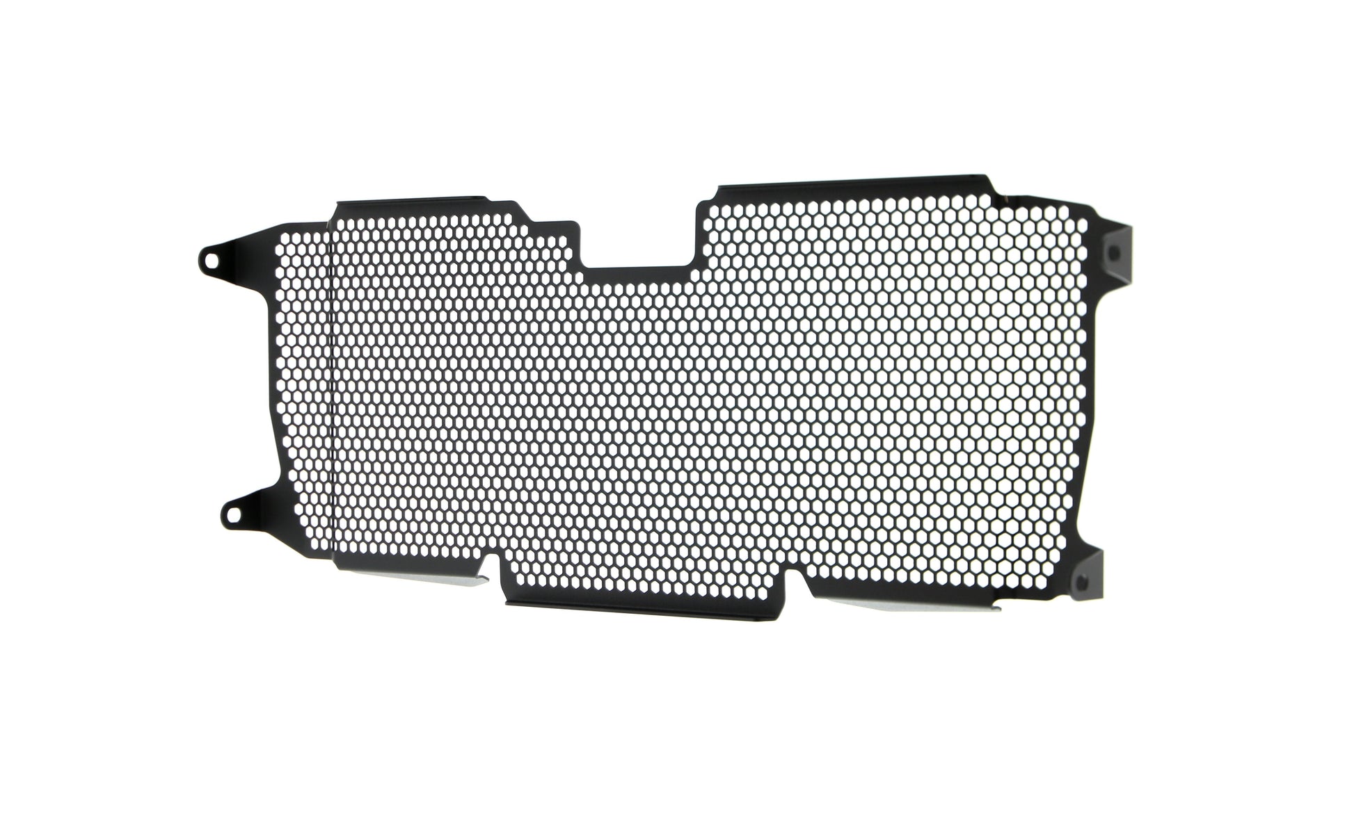 Evotech BMW R 1250 RS Radiatorcover (2019+)