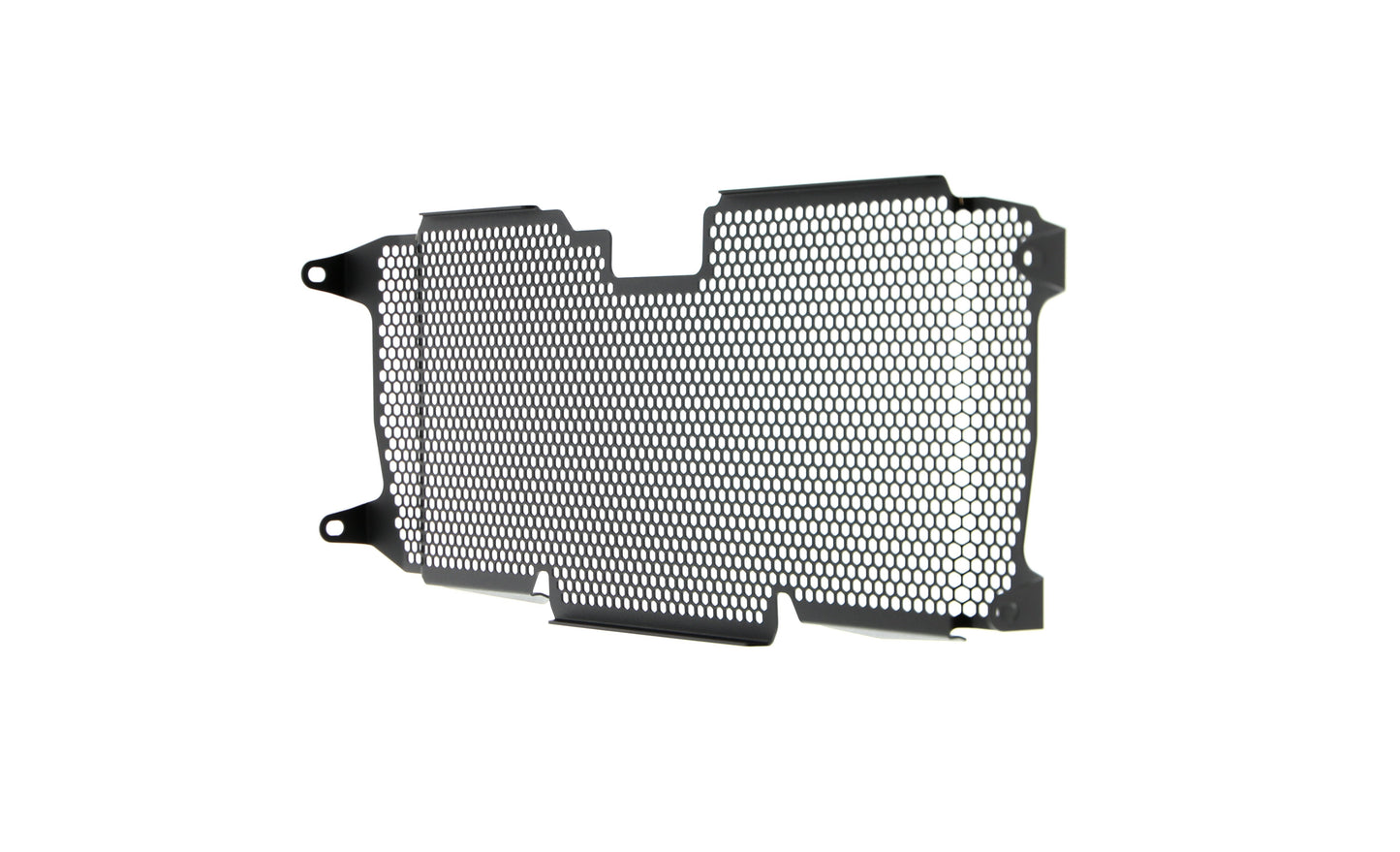 Evotech BMW R 1250 RS Radiatorcover (2019+)