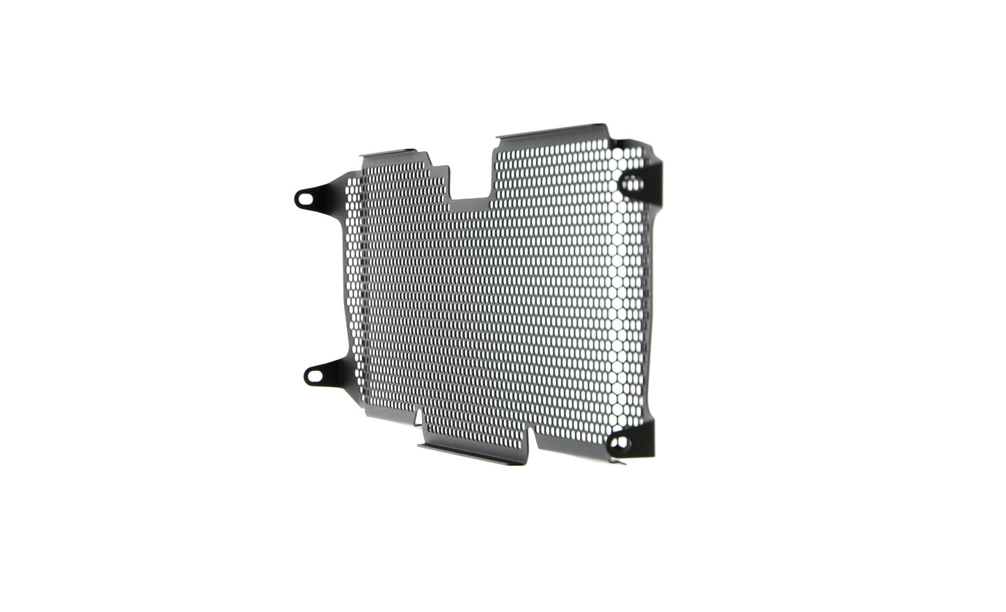 Evotech BMW R 1250 RS Radiatorcover (2019+)