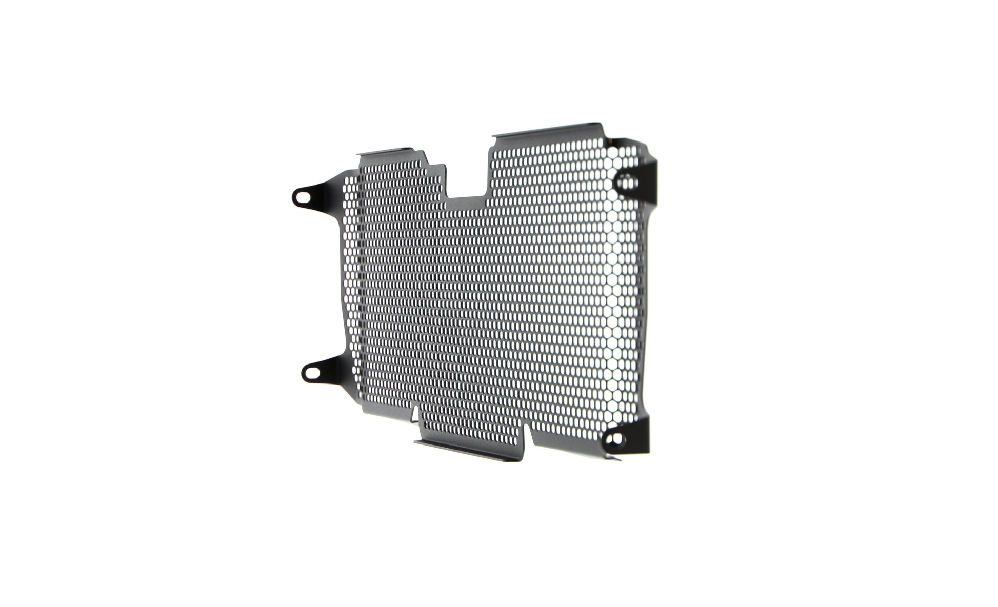 Evotech BMW R 1250 R Exclusive Radiatorcover 2019+