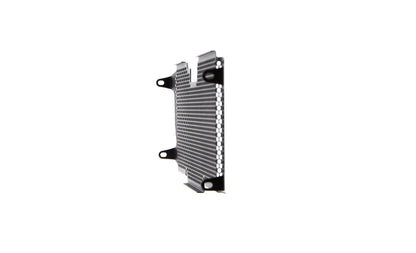 Evotech BMW R 1200 RS Radiatorcover 2015 - 2018