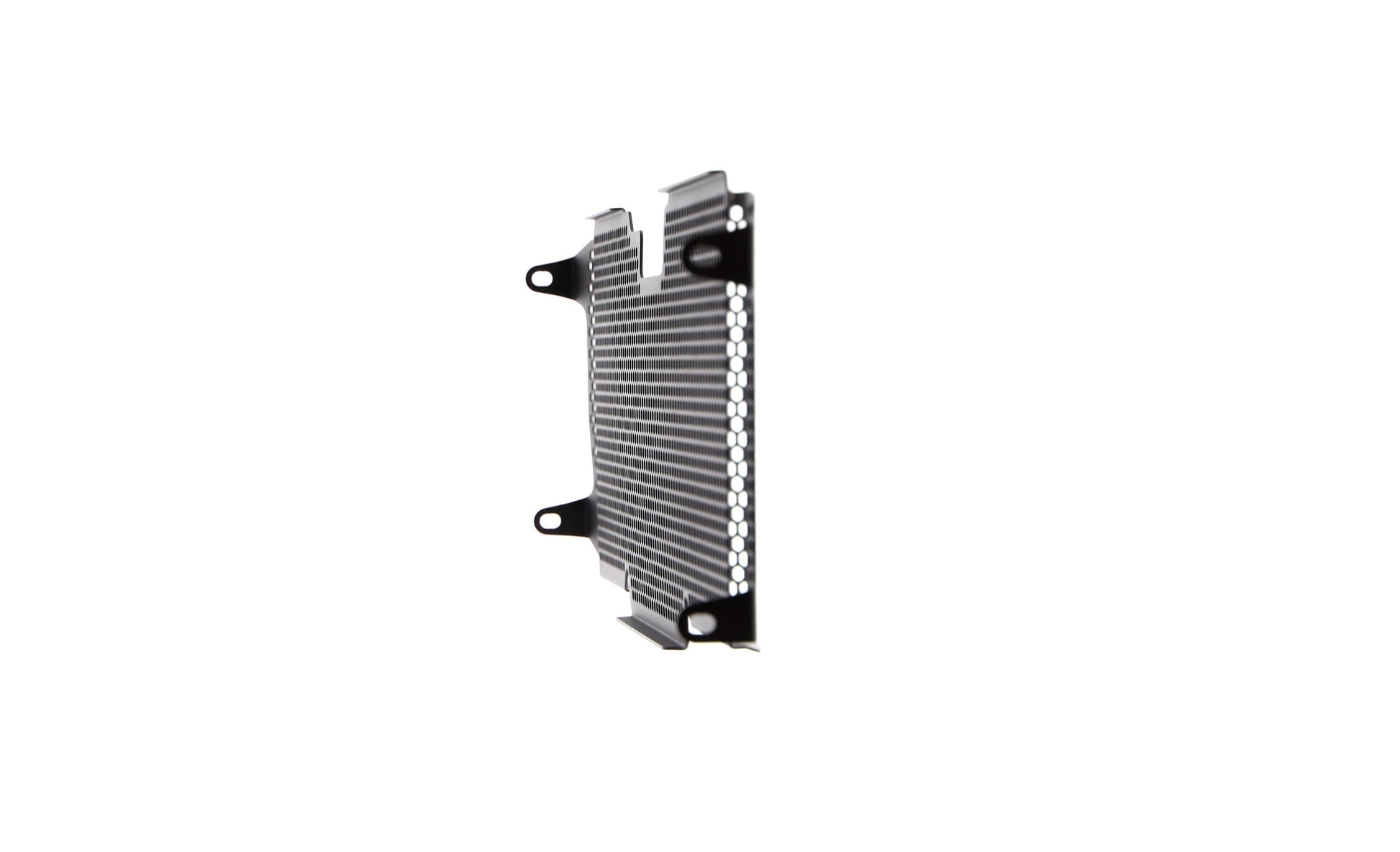 Evotech BMW R 1250 RS Radiatorcover (2019+)