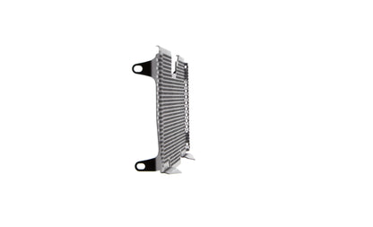 Evotech BMW R 1250 R Exclusive Radiatorcover 2019+