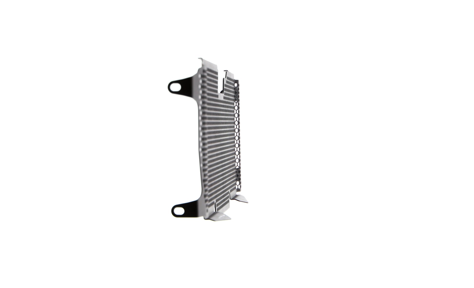 Evotech BMW R 1250 R Radiatorcover (2019+)