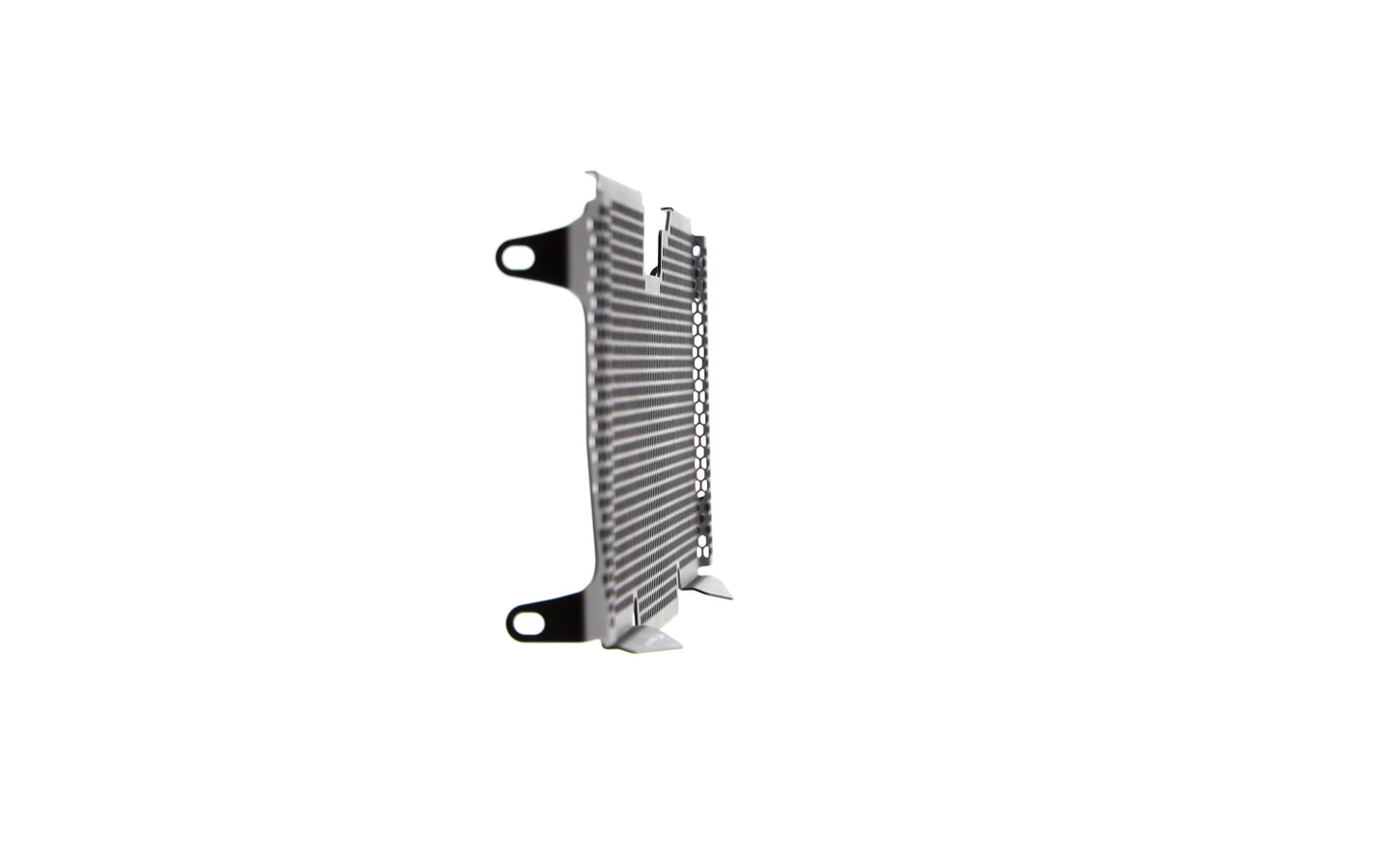 Evotech BMW R 1250 RS Radiatorcover (2019 - 2021)
