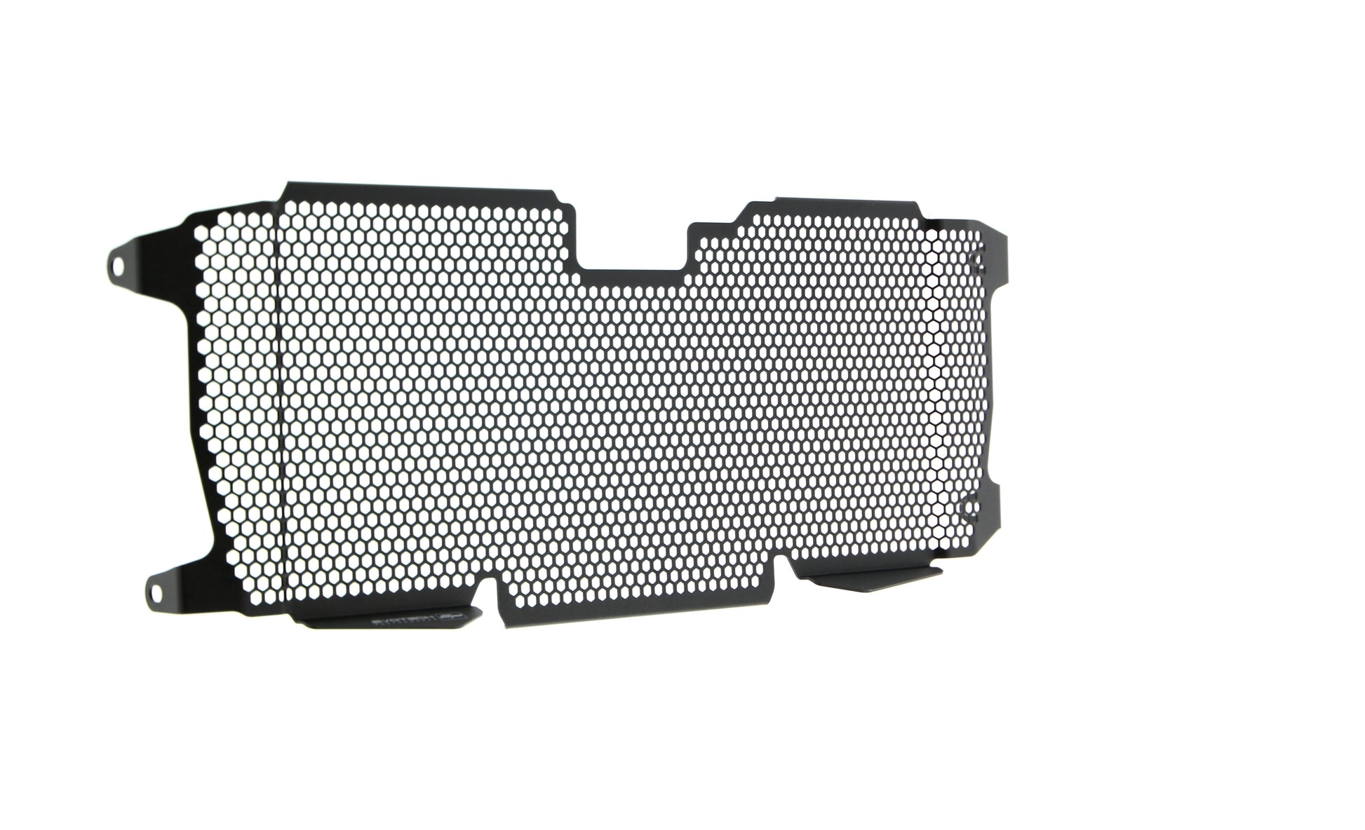 Evotech BMW R 1250 R Radiatorcover (2019+)