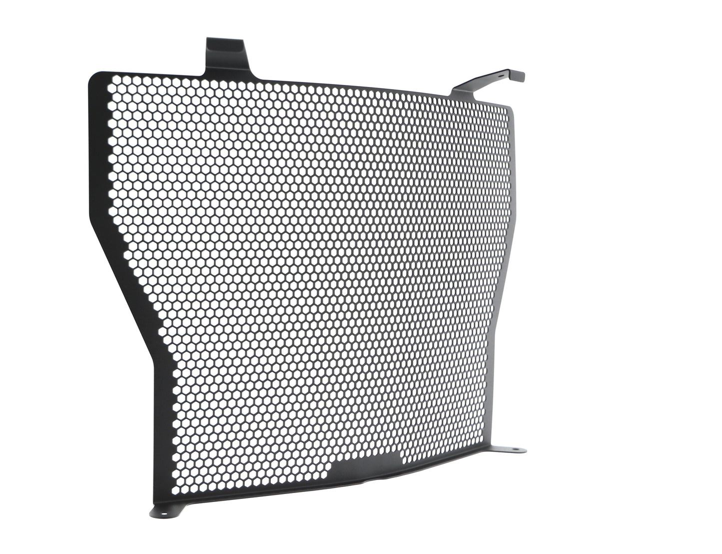 Evotech BMW S 1000 R Radiatorcover (2017-2020)