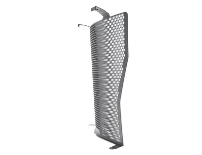 Evotech BMW S 1000 R Radiatorcover (2017-2020)