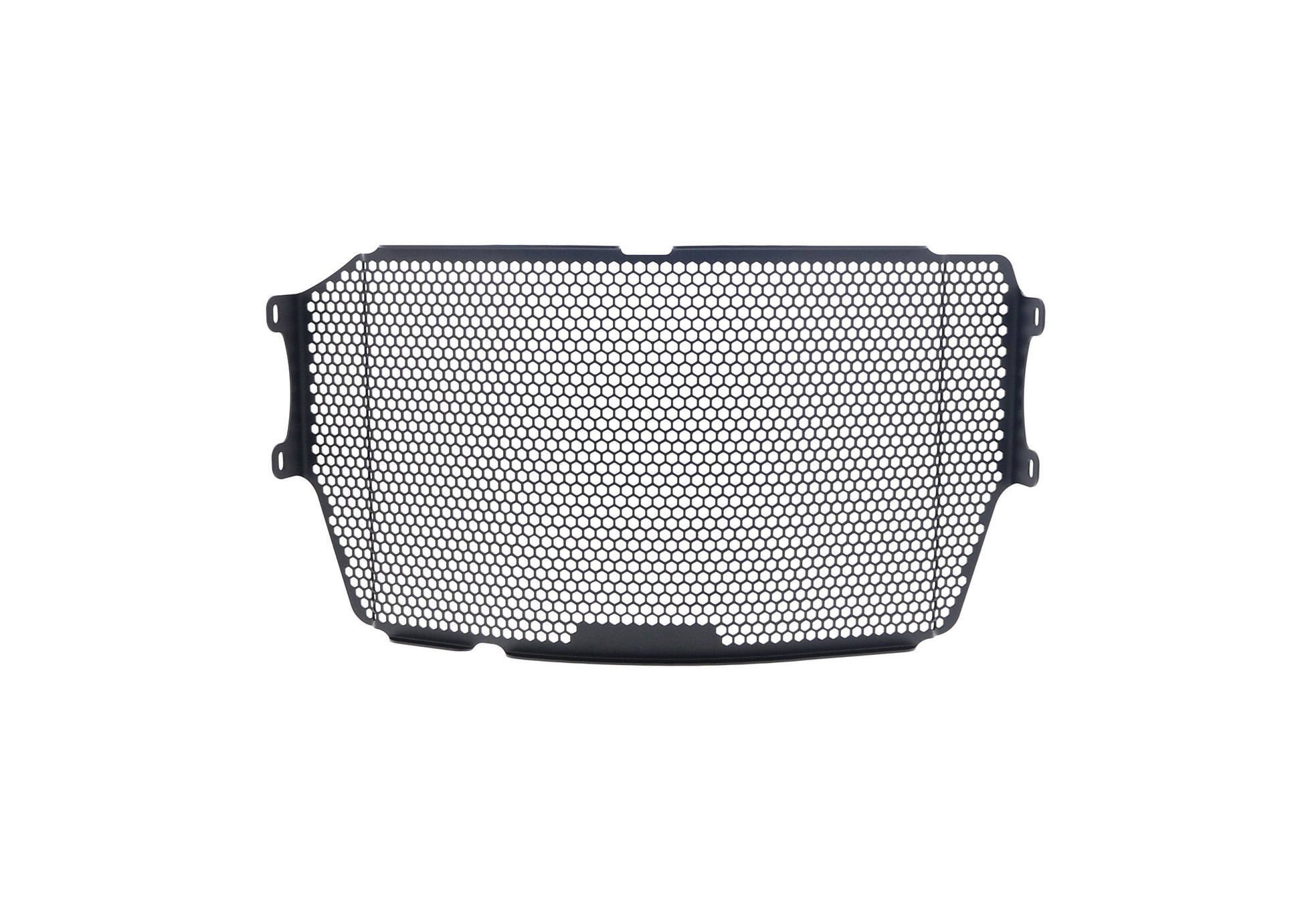 Evotech Ducati Monster 1200 R Radiatorcover 2016 - 2019