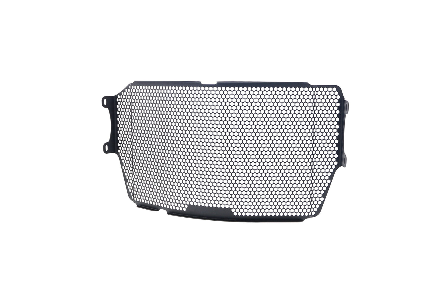 Evotech Ducati Monster 1200 R Radiatorcover 2016 - 2019
