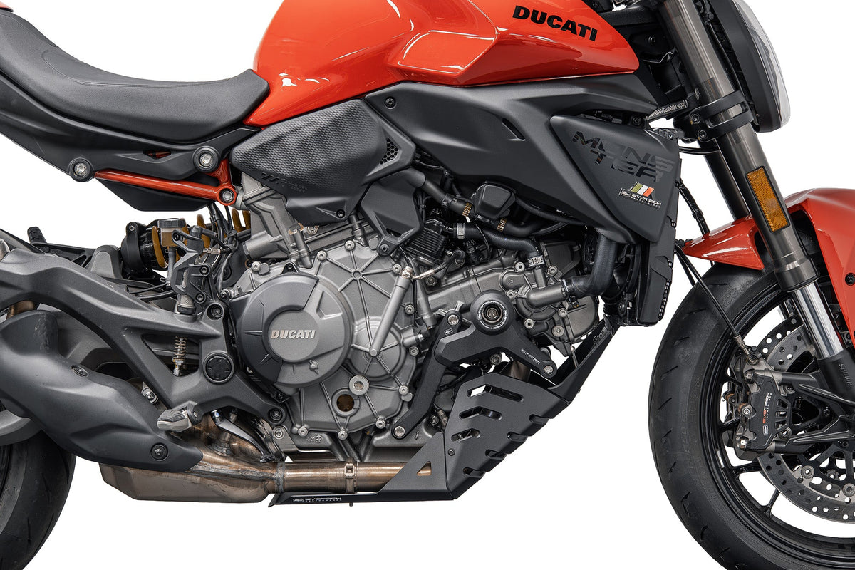 Motorblok Beschermer Ducati Monster V2+ (Plus)