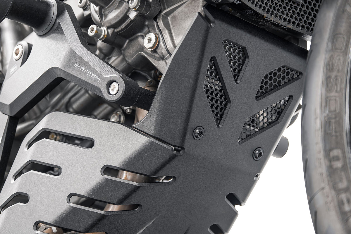 Motorblok Beschermer Ducati Monster V2+ (Plus)