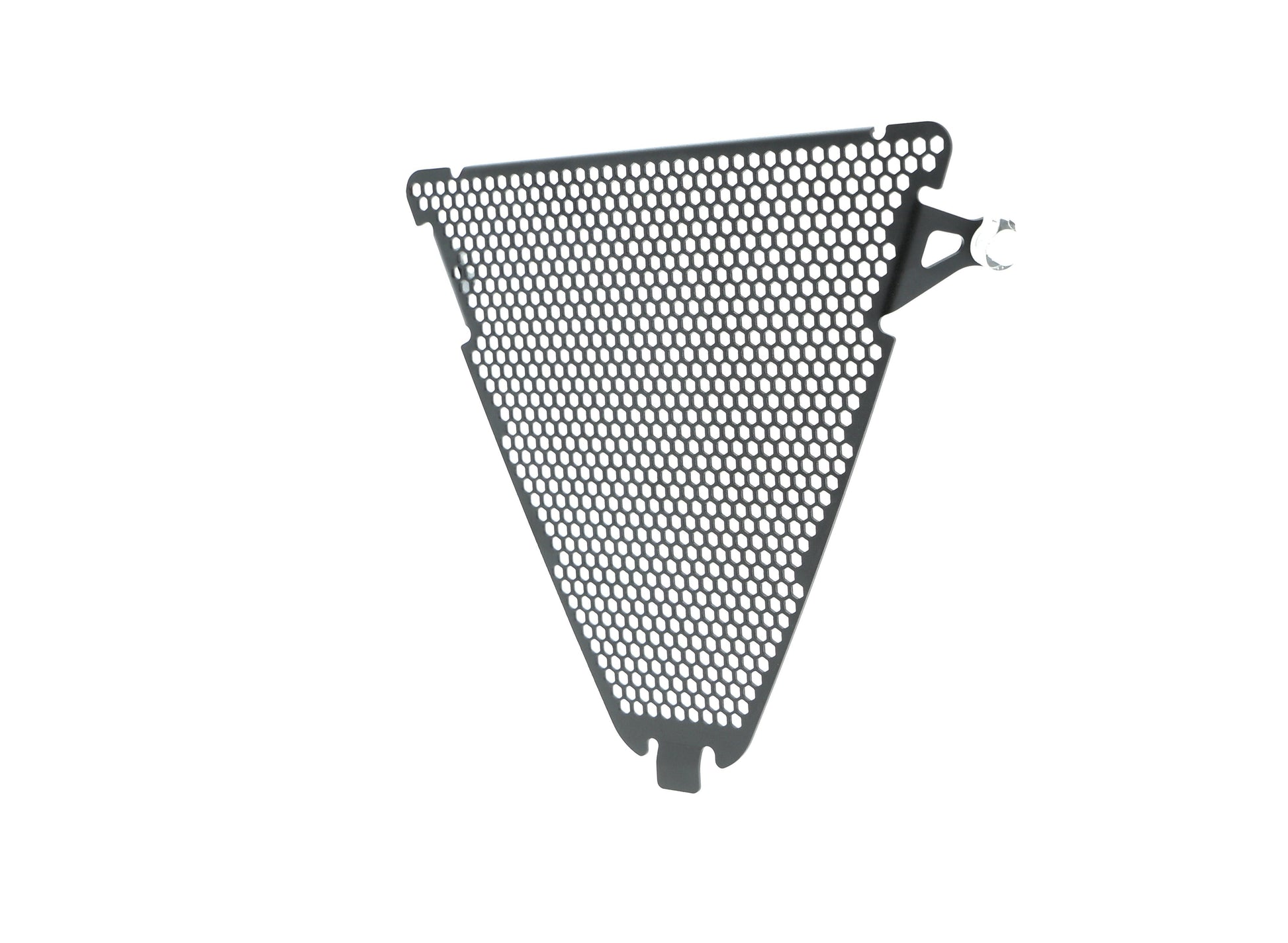 Evotech Ducati Panigale 1299 R FE Lower Radiatorcover (2017-2020)