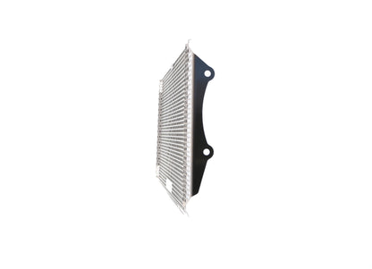 Evotech Kawasaki Z900RS Cafe Performance Radiatorcover (2018-2020) (Stainless Steel)