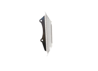 Evotech Kawasaki Z900RS Radiatorcover (2018 - 2020) (Stainless Steel)
