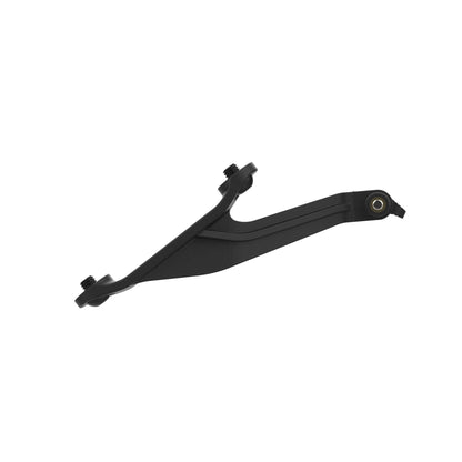Evotech Footpeg Action Camera Montagesteun (achteruit gericht) - BMW S 1000 R (2021 - 2024) (Right-hand Side)