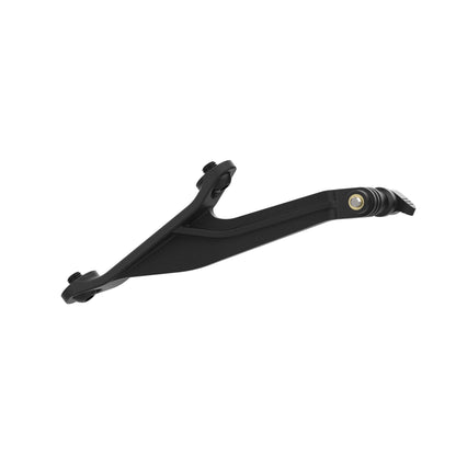 Evotech Footpeg Action Camera Montagesteun (achteruit gericht) - BMW M 1000 RR (2023+) (Right-hand Side)