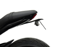Evotech Triumph Trident Kentekenplaathouder (2021+)