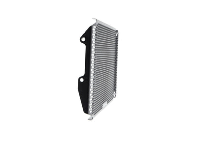 Evotech Yamaha MT-09 Radiatorcover (2017-2020)