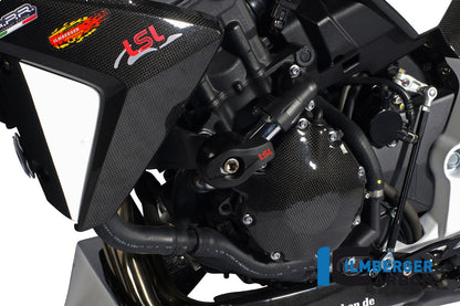 Couverture du boîtier d'allumage Carbon CB1000R Honda CB1000R (2008-2017)