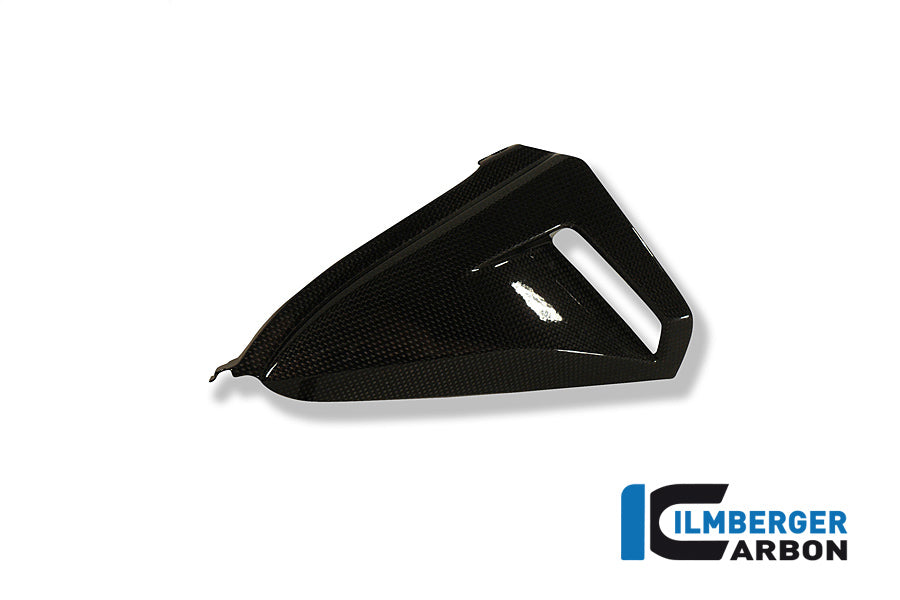 Panneau latéral sous siège - côté droit - Carbon CB1000R Honda CB1000R (2008-2017)