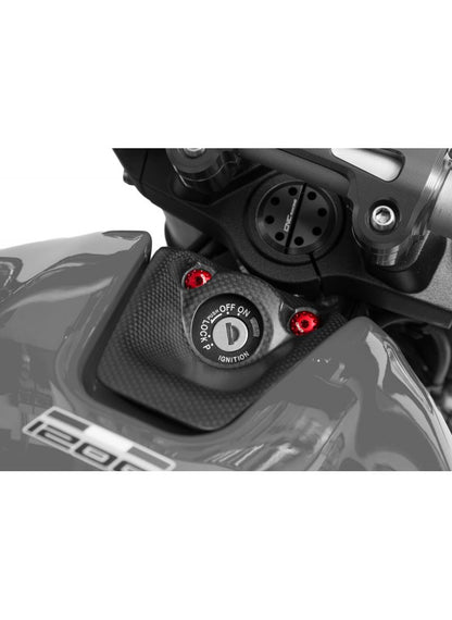 Contactslotcover bouten (2 st.) Ducati Panigale V4S (2027+)