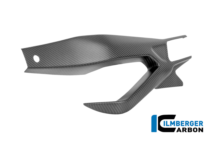Achterbrug beschermer links mat carbon BMW S 1000 R (2021-2024)