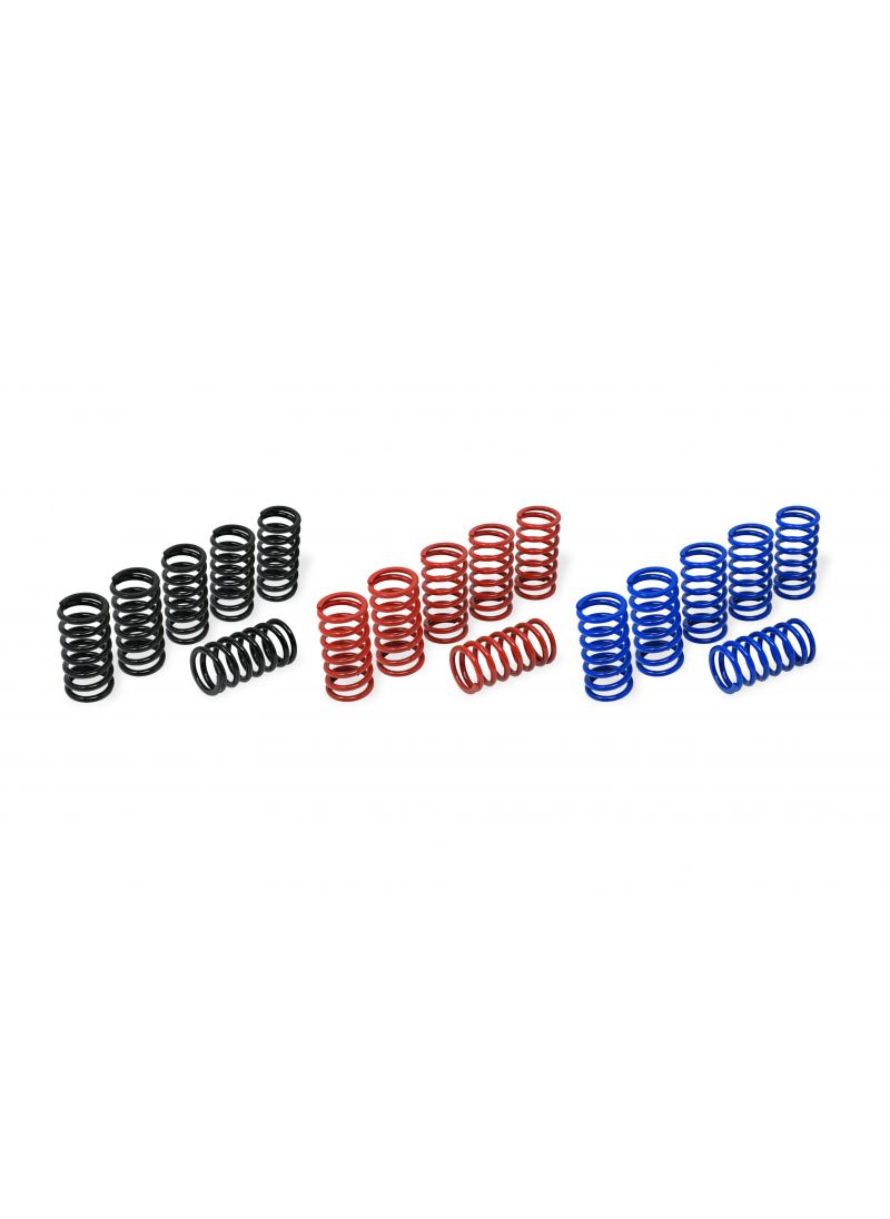 Kit de printemps d'embrayage H45 pour BMW S1000RR BMW S 1000 RR Motorsport (2019-2022)