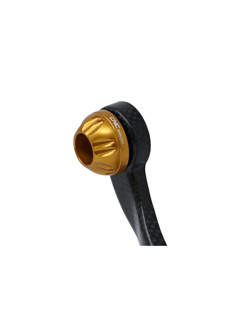 Optionele gekleurde endcap voor PL150 PL250 Ducati Monster V2 + (Plus) (2026+)