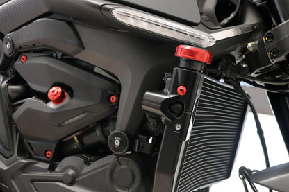 Monster du radiateur latéral 950 2021+ Ducati Monster 950+ (plus) (2021+)
