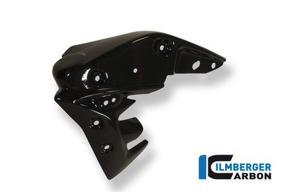 Radiator Cover Liens de carbone Triumph Speed ​​Triple 1050 (2011-2015)