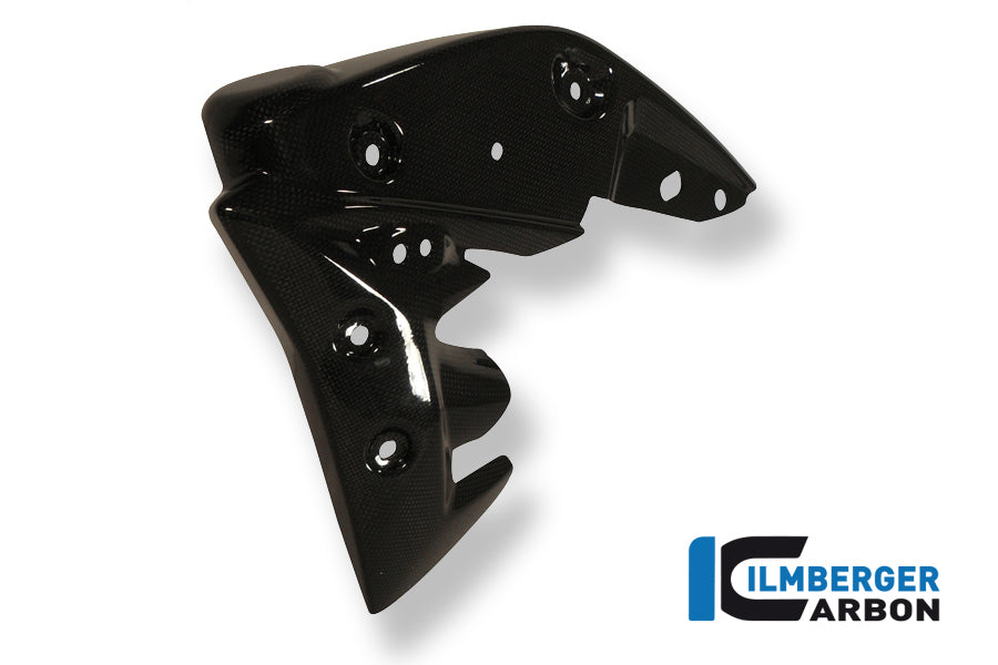 Radiator Cover Liens de carbone Triumph Speed ​​Triple 1050 (2011-2015)