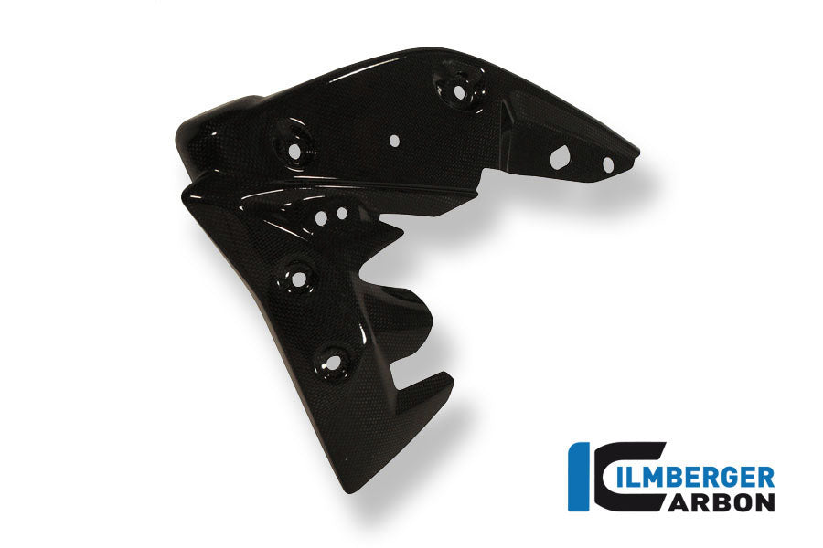 Radiator Cover Liens de carbone Triumph Speed ​​Triple 1050 (2011-2015)