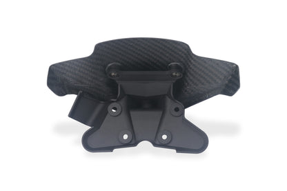 Windscherm mat carbon Ducati Streetfighter V4S (2025+)