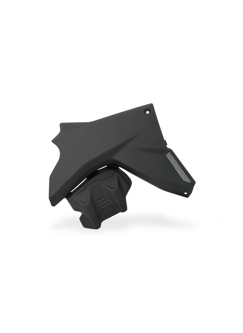 Motorblok beschermers mat carbon Ducati Multistrada V4 2021+