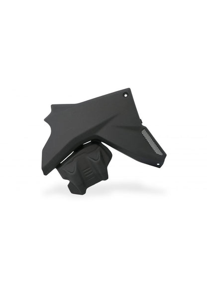 Motorblok beschermers mat carbon Ducati Multistrada V4 2021+