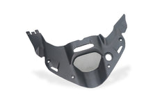 Onderste luchtinlaatcover mat carbon Ducati Multistrada V4 Rally (2025+)