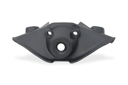 Mat Carbon Contactslotcover Ducati Panigale V4 (2025+)