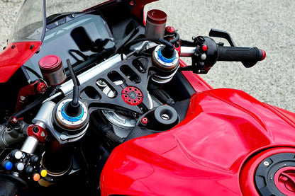 Mat Carbon Contactslotcover Ducati Panigale V4 S (2025+)