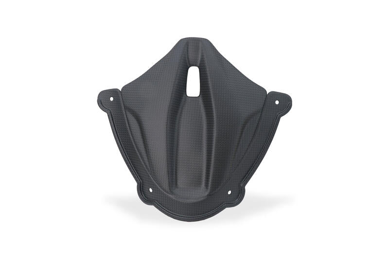 Mat carbon paneel onder het windscherm Ducati Panigale V4 Tricolore (2025+)