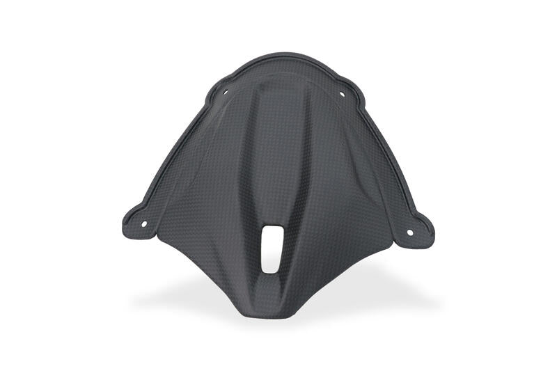 Mat carbon paneel onder het windscherm Ducati Panigale V4 Tricolore Italia (2025+)