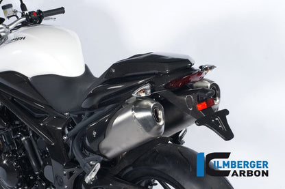 Section de queue complète incl. Plaque d'immatriculation Speed ​​Triumph Speed ​​Triple (2011-2015)