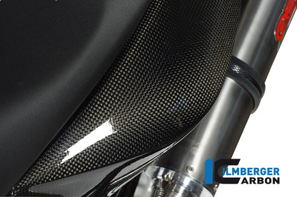 Panneau latéral sous le siège - côté gauche - Carbon F800R 2012- BMW F 800 R (2012-2014)