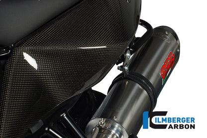 Panneau latéral sous le siège - côté gauche - Carbon F800R 2012- BMW F 800 R (2012-2014)