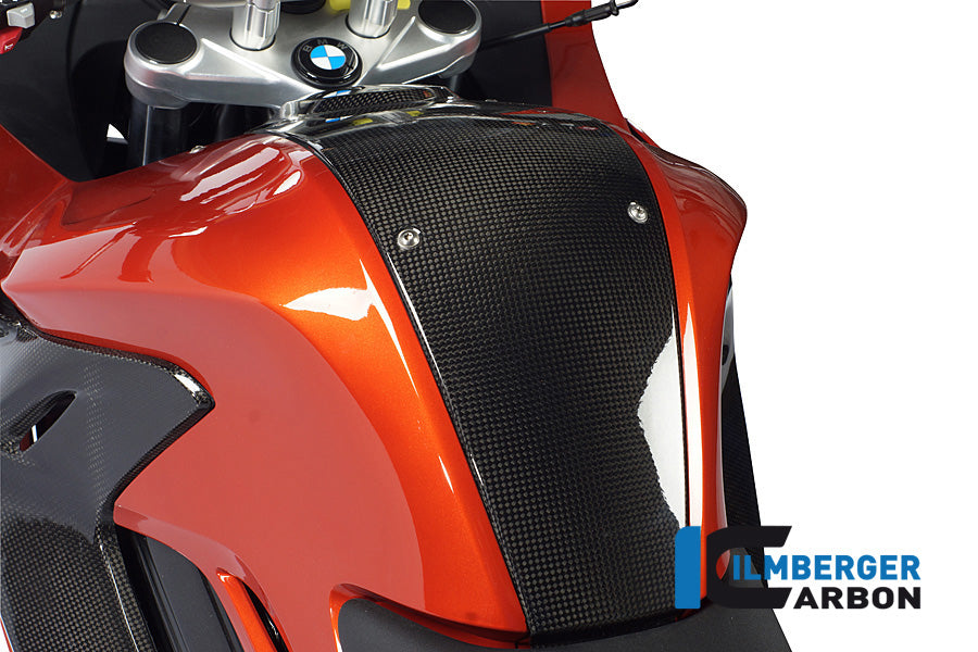 Central Console Tank Carbon F800R 2012- BMW F 800 R (2012-2014)
