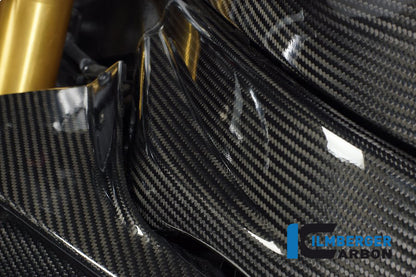 Framecover Links BMW S 1000 RR Street (2012-2014)